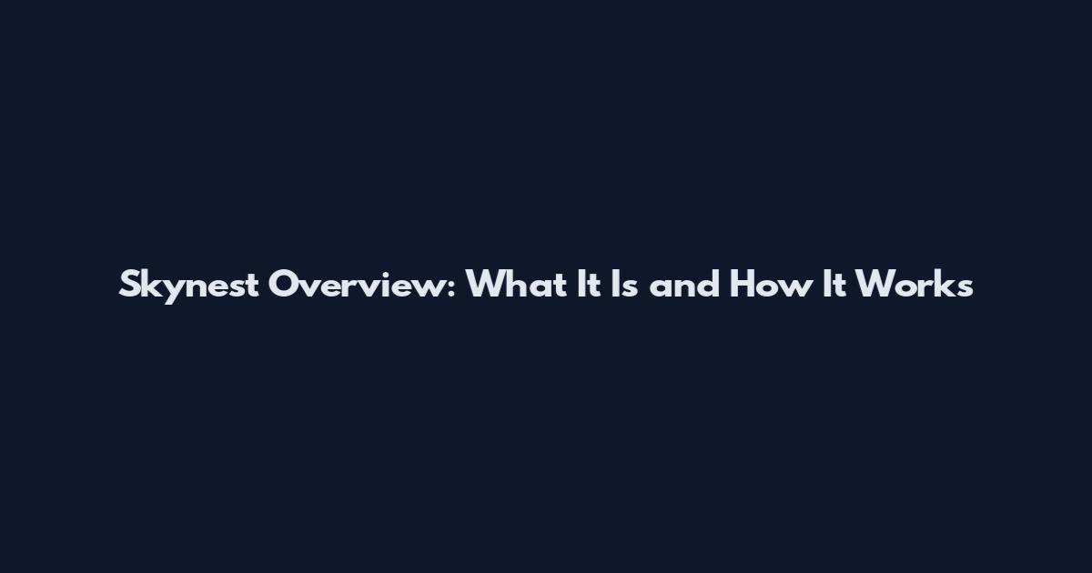 Skynest Overview: What It Is and How It Works