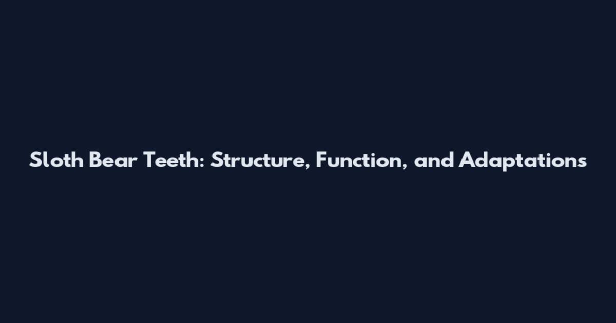 Sloth Bear Teeth: Structure, Function, and Adaptations
