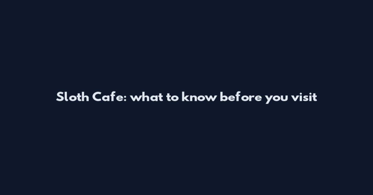 Sloth Cafe: what to know before you visit