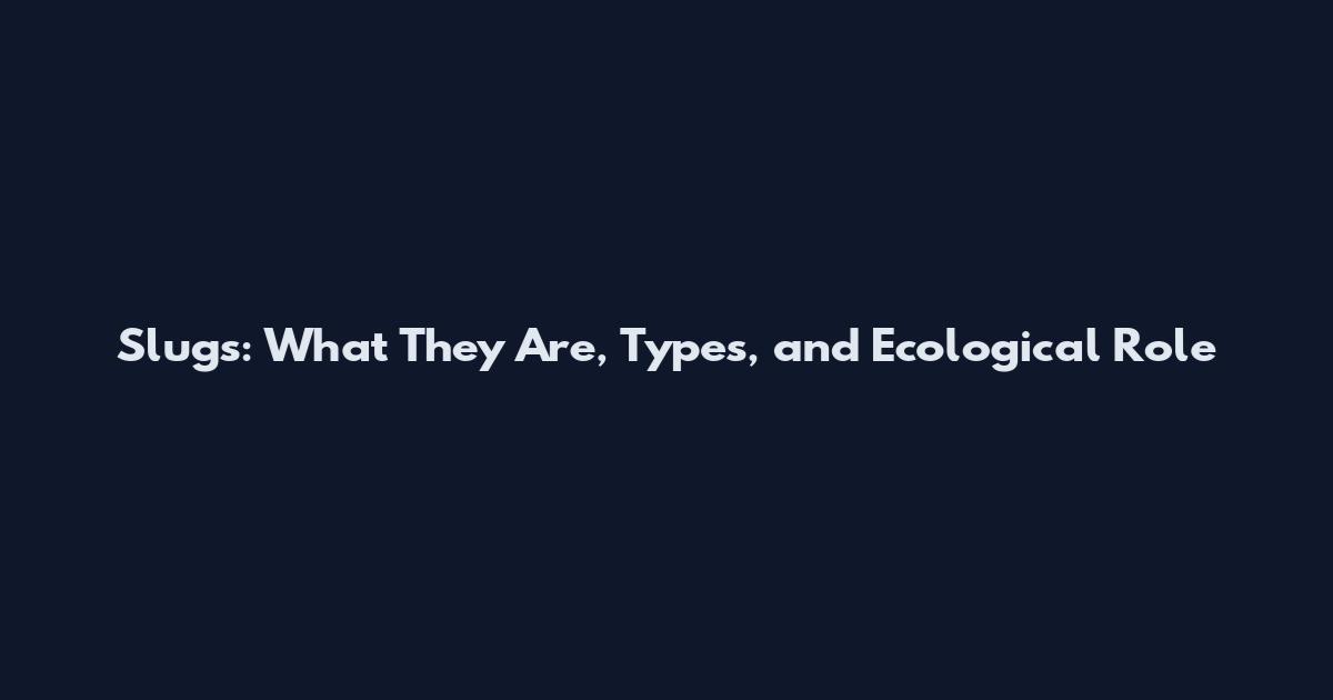 Slugs: What They Are, Types, and Ecological Role