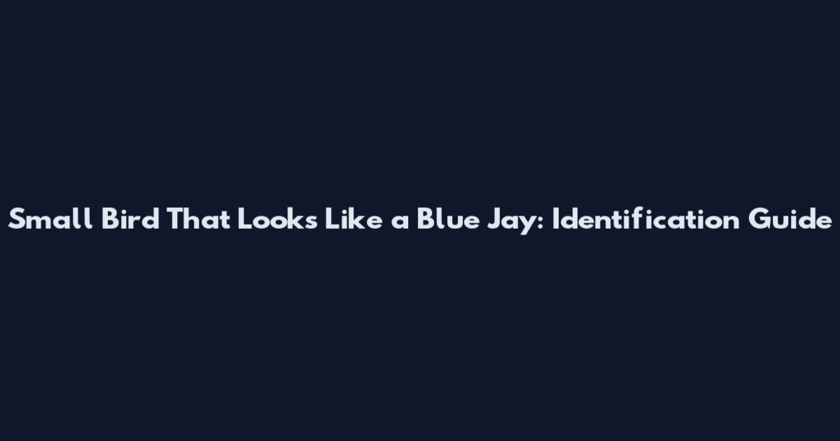 Small Bird That Looks Like a Blue Jay: Identification Guide