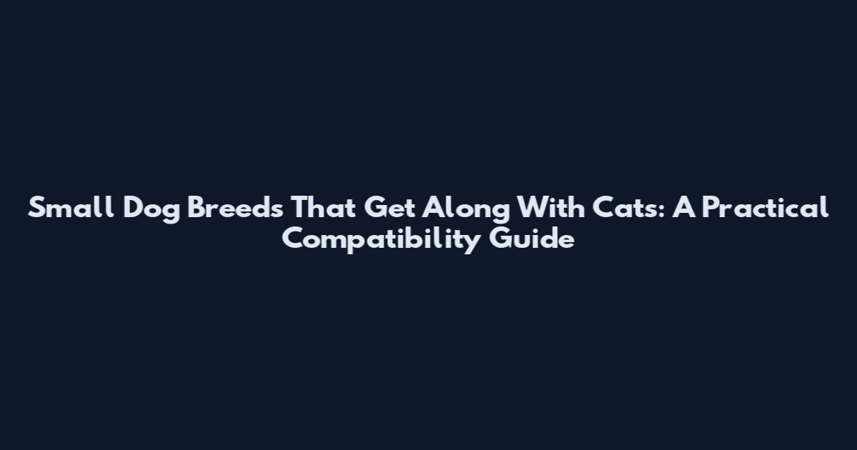 Small Dog Breeds That Get Along With Cats: A Practical Compatibility Guide