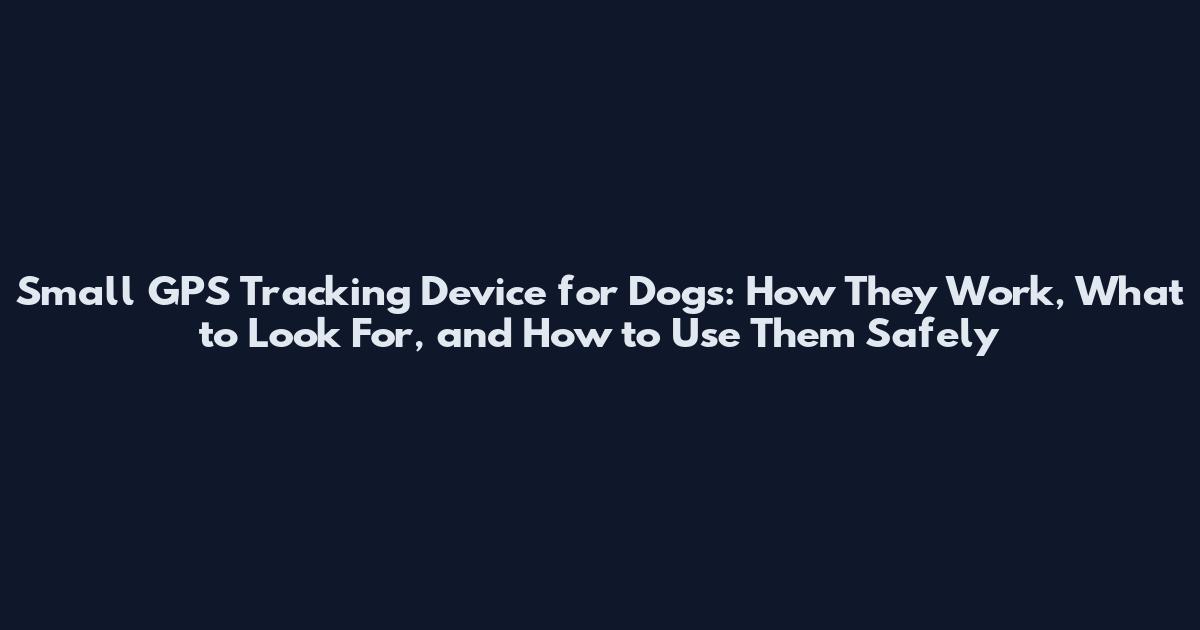 Small GPS Tracking Device for Dogs: How They Work, What to Look For, and How to Use Them Safely