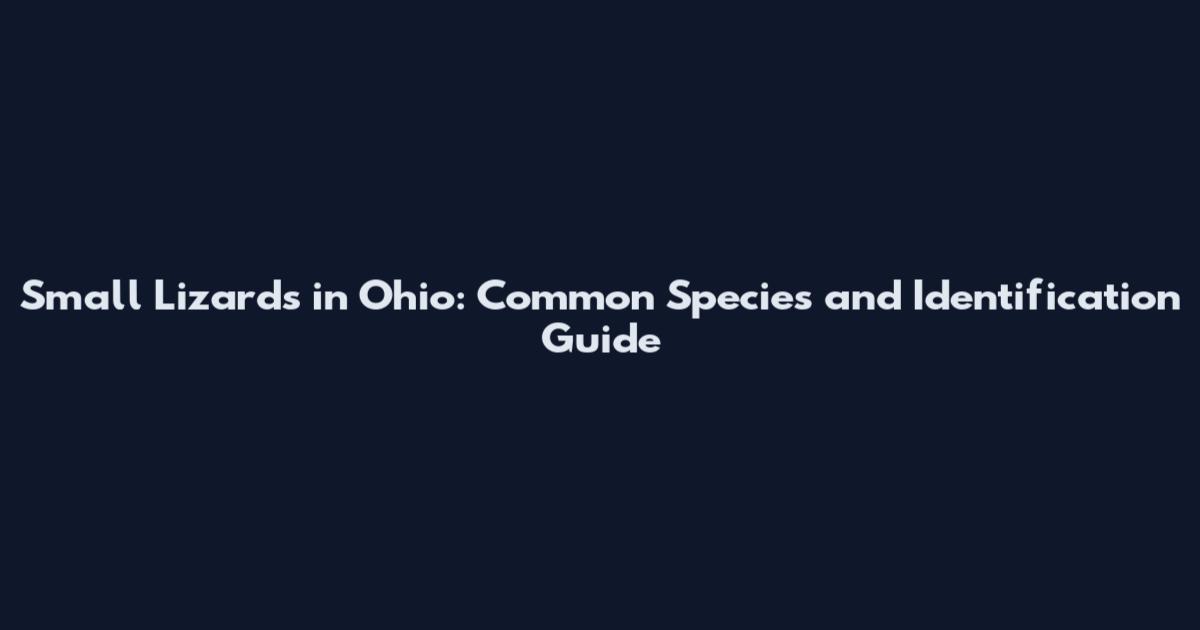 Small Lizards in Ohio: Common Species and Identification Guide