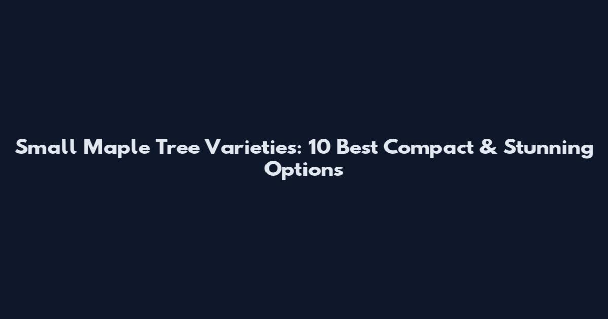 Small Maple Tree Varieties: 10 Best Compact & Stunning Options