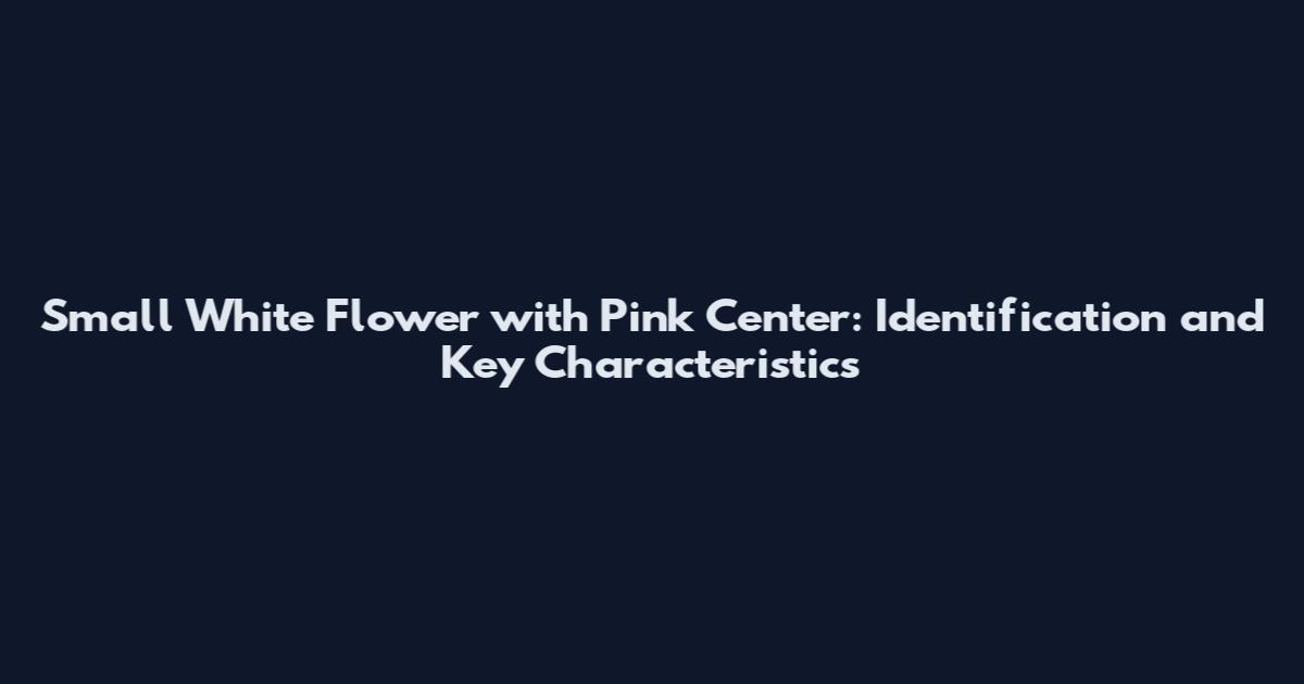 Small White Flower with Pink Center: Identification and Key Characteristics