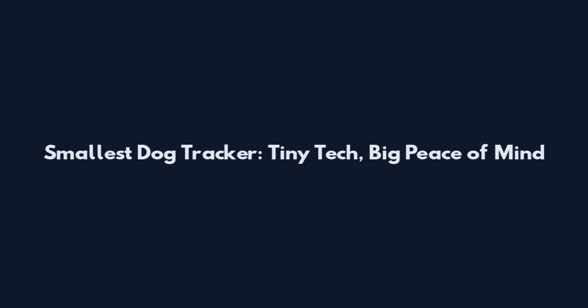 Smallest Dog Tracker: Tiny Tech, Big Peace of Mind