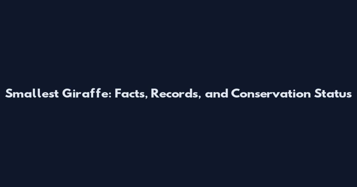 Smallest Giraffe: Facts, Records, and Conservation Status