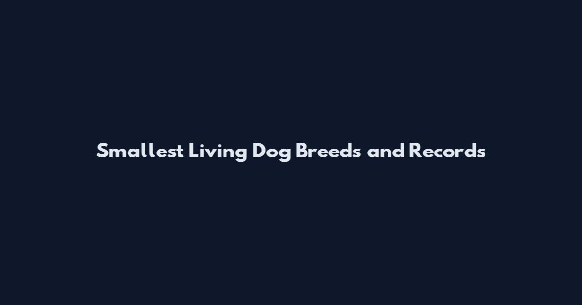 Smallest Living Dog Breeds and Records