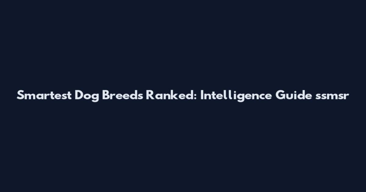 Smartest Dog Breeds Ranked: Intelligence Guide ssmsr