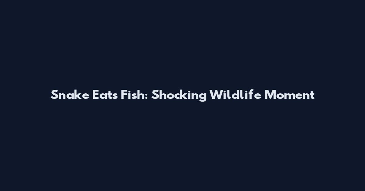 Snake Eats Fish: Shocking Wildlife Moment