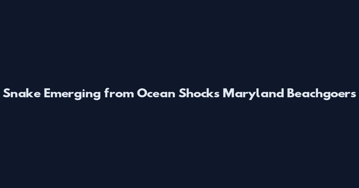 Snake Emerging from Ocean Shocks Maryland Beachgoers
