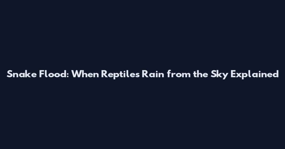 Snake Flood: When Reptiles Rain from the Sky Explained