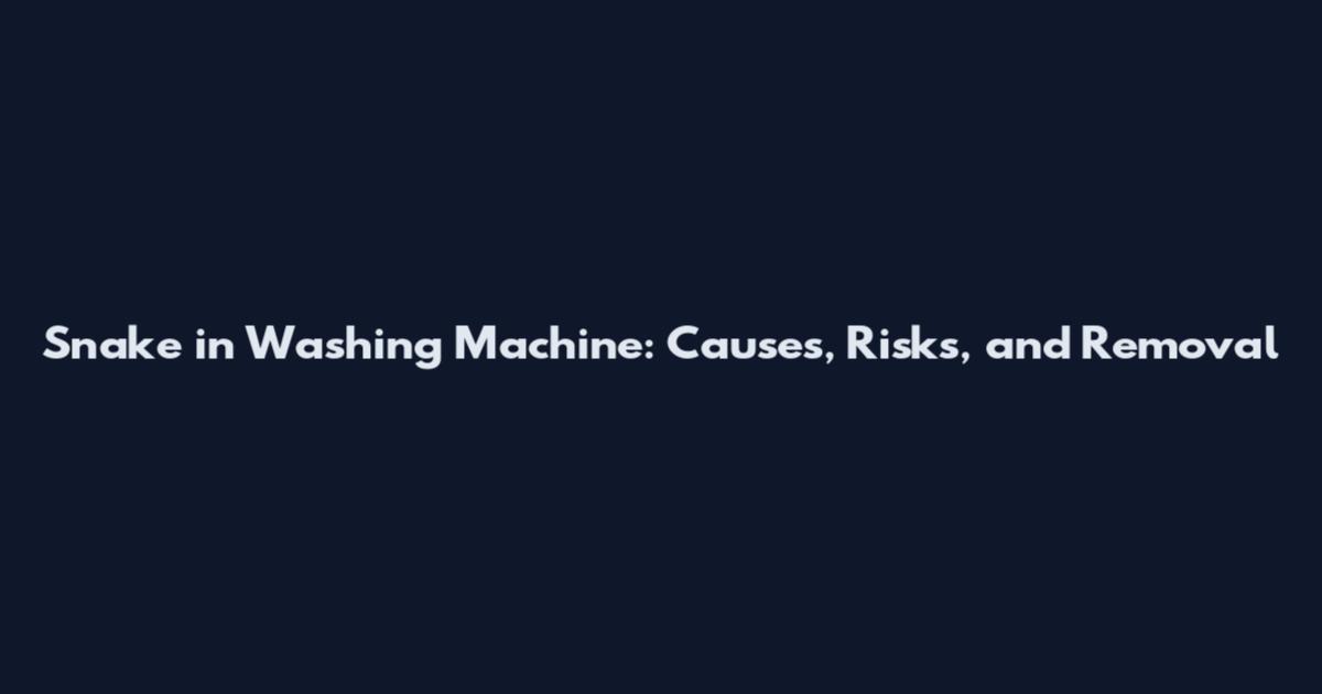Snake in Washing Machine: Causes, Risks, and Removal