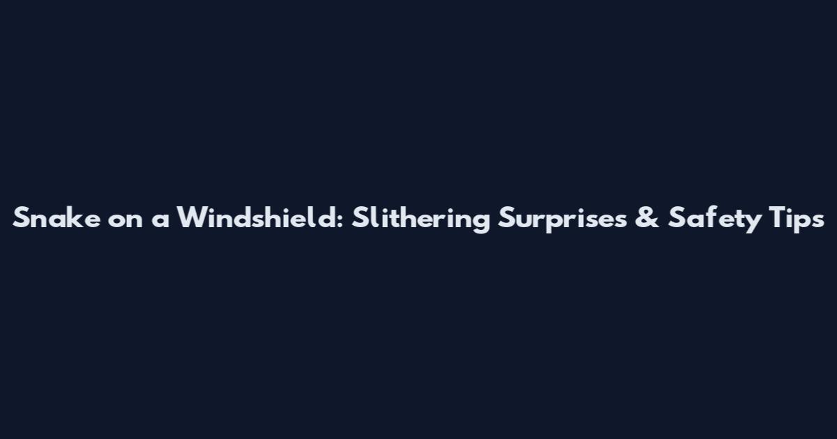 Snake on a Windshield: Slithering Surprises & Safety Tips