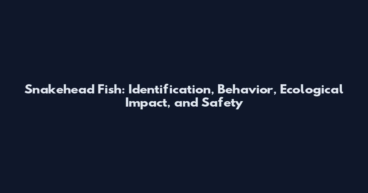 Snakehead Fish: Identification, Behavior, Ecological Impact, and Safety