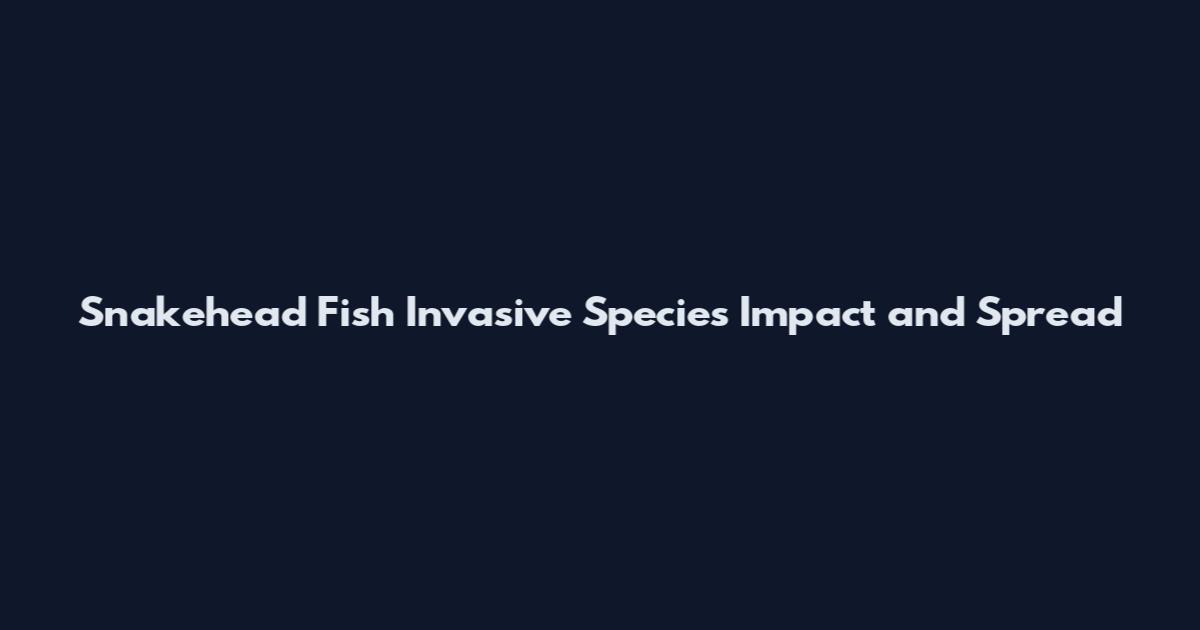 Snakehead Fish Invasive Species Impact and Spread