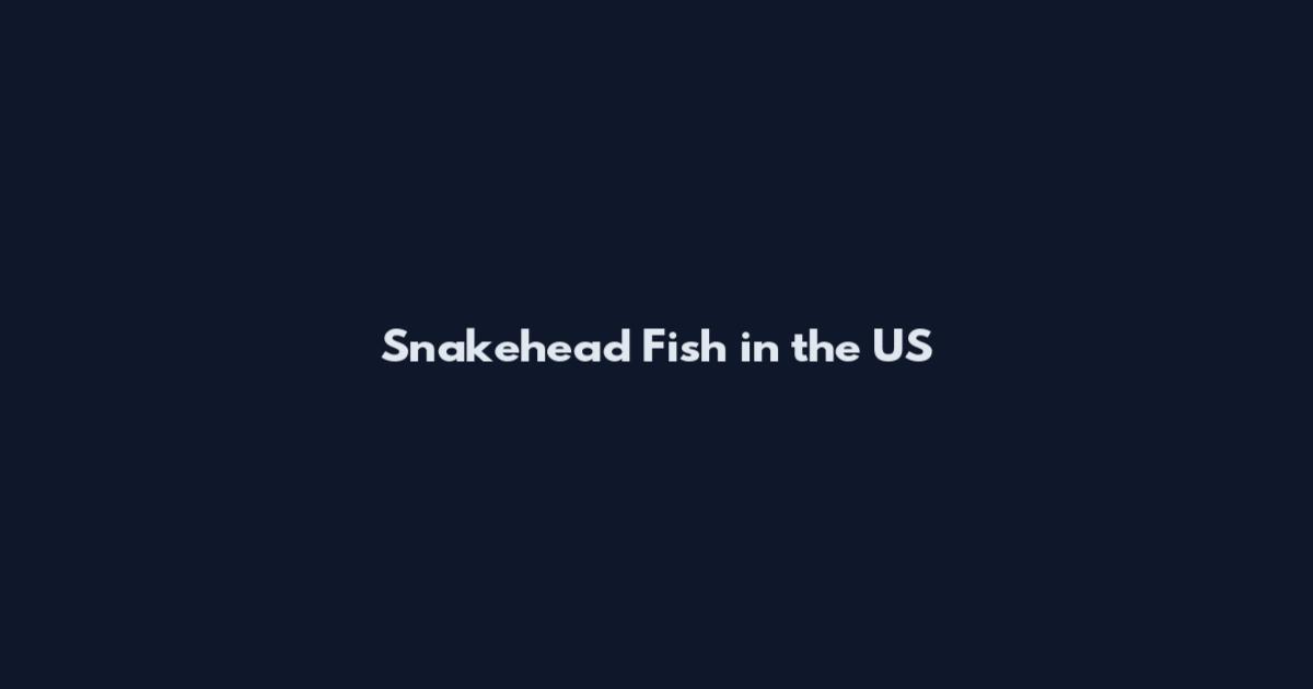 Snakehead Fish in the US