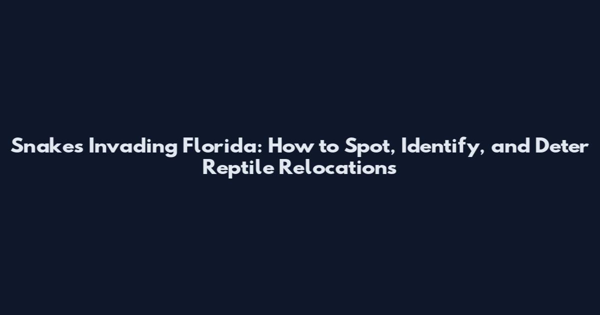 Snakes Invading Florida: How to Spot, Identify, and Deter Reptile Relocations