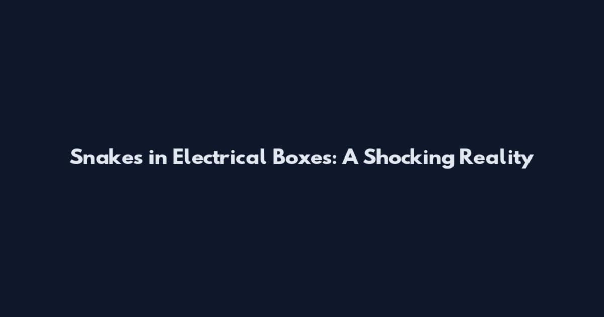 Snakes in Electrical Boxes: A Shocking Reality