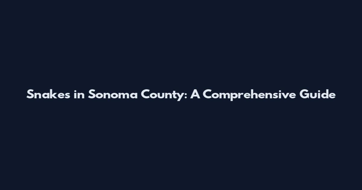 Snakes in Sonoma County: A Comprehensive Guide