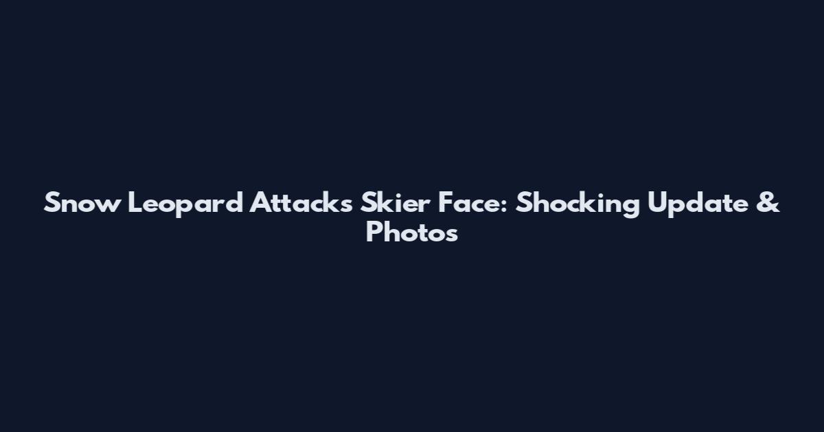 Snow Leopard Attacks Skier Face: Shocking Update & Photos