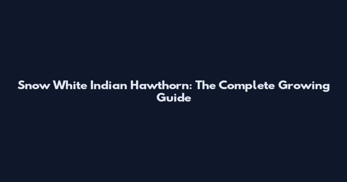 Snow White Indian Hawthorn: The Complete Growing Guide