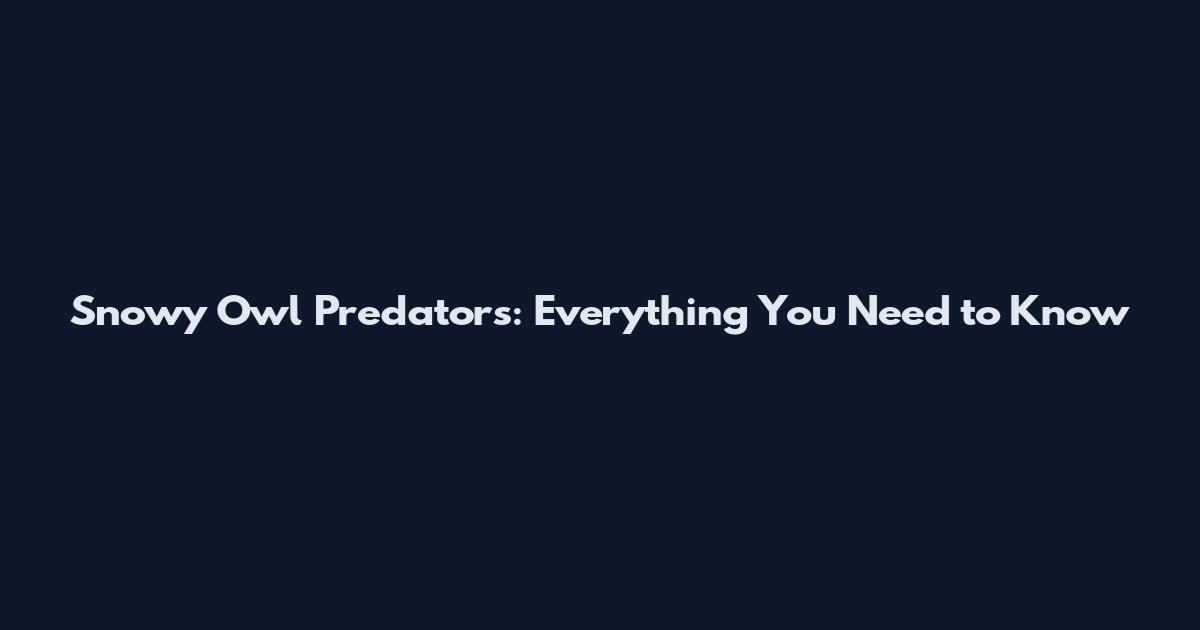 Snowy Owl Predators: Everything You Need to Know