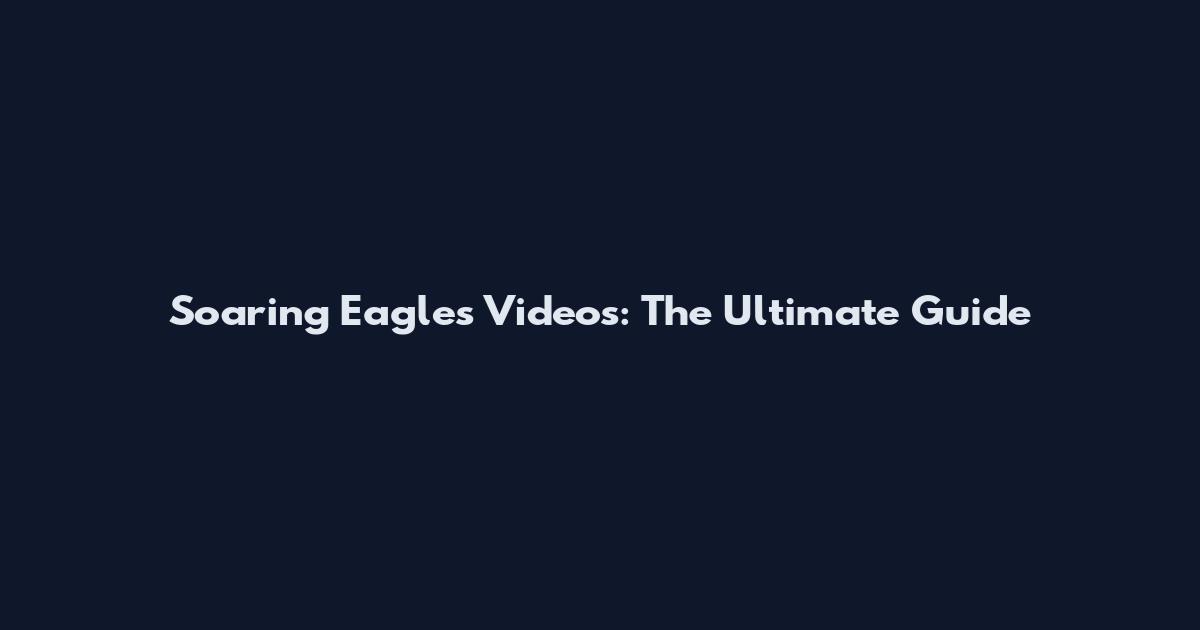Soaring Eagles Videos: The Ultimate Guide