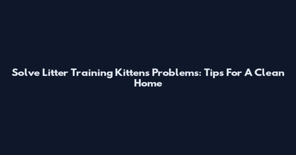 Solve Litter Training Kittens Problems: Tips For A Clean Home