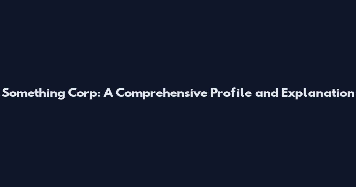 Something Corp: A Comprehensive Profile and Explanation