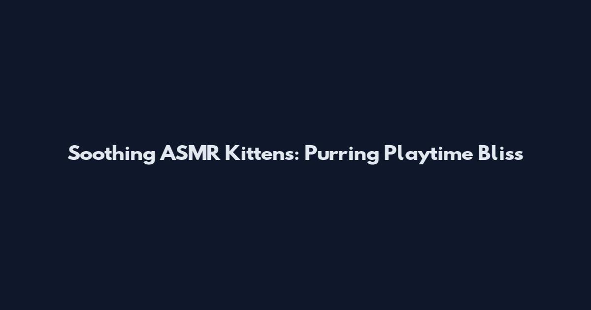 Soothing ASMR Kittens: Purring Playtime Bliss