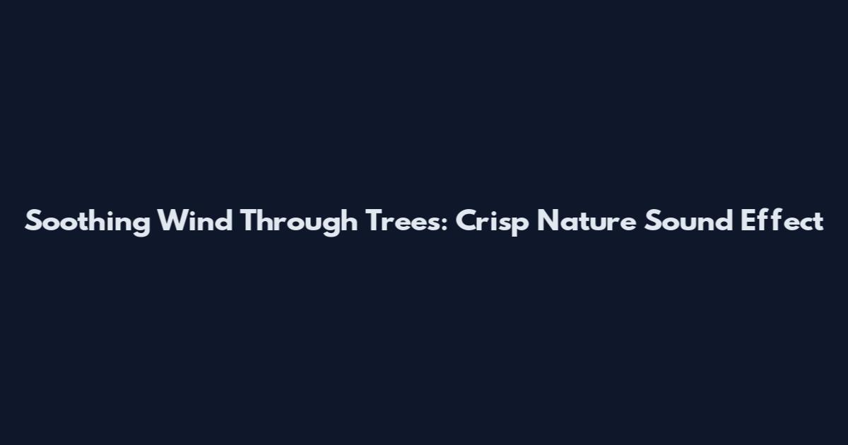 Soothing Wind Through Trees: Crisp Nature Sound Effect
