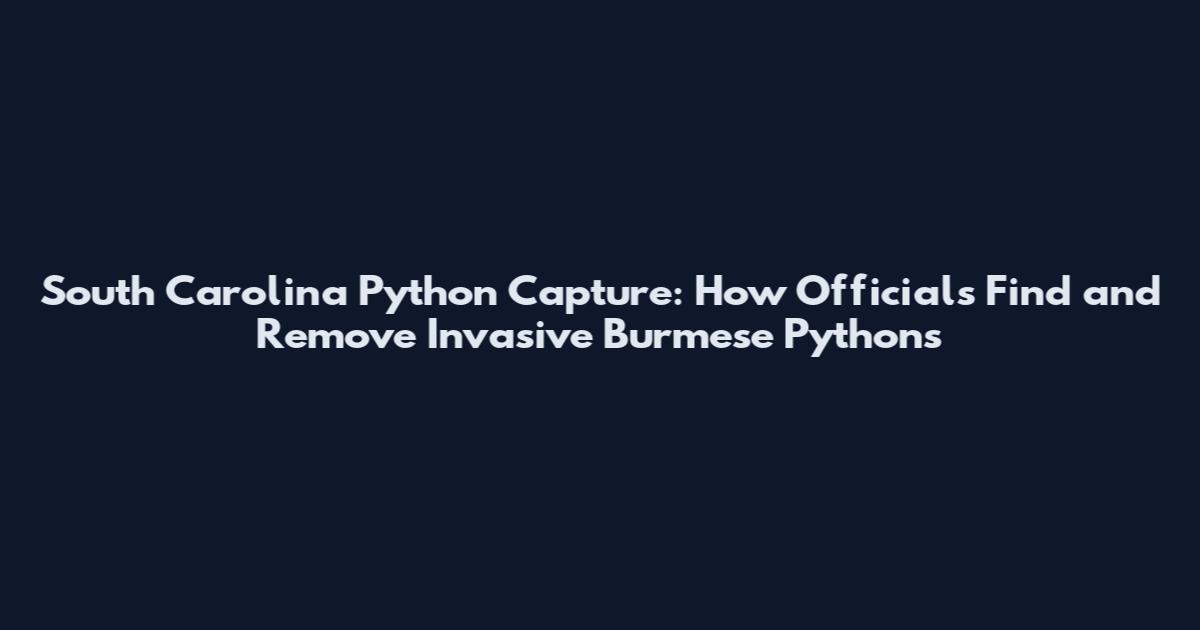 South Carolina Python Capture: How Officials Find and Remove Invasive Burmese Pythons