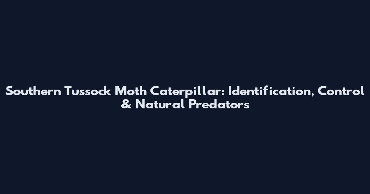 Southern Tussock Moth Caterpillar: Identification, Control & Natural Predators