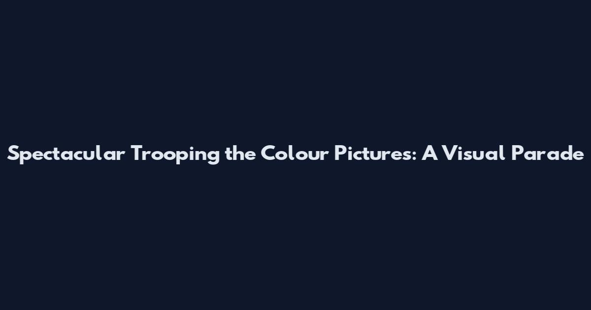 Spectacular Trooping the Colour Pictures: A Visual Parade