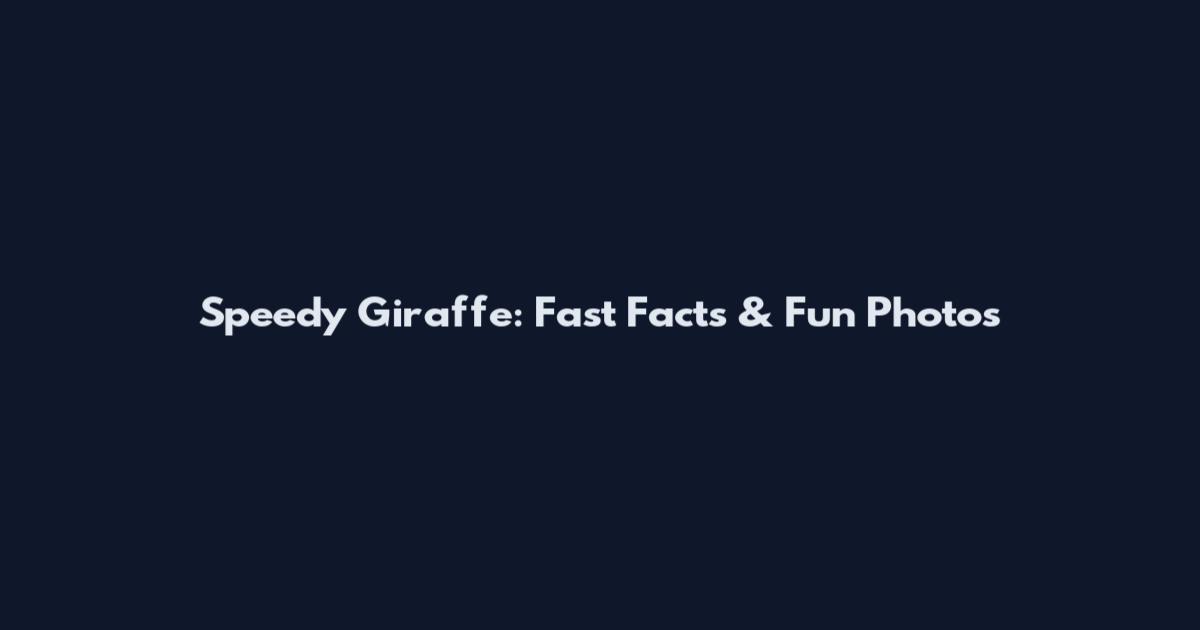 Speedy Giraffe: Fast Facts & Fun Photos