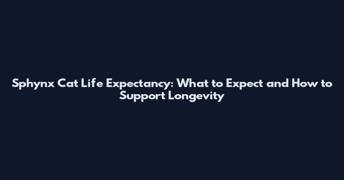 Sphynx Cat Life Expectancy: What to Expect and How to Support Longevity