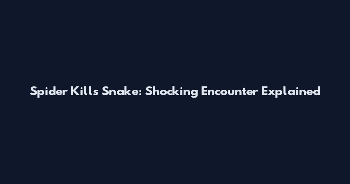 Spider Kills Snake: Shocking Encounter Explained
