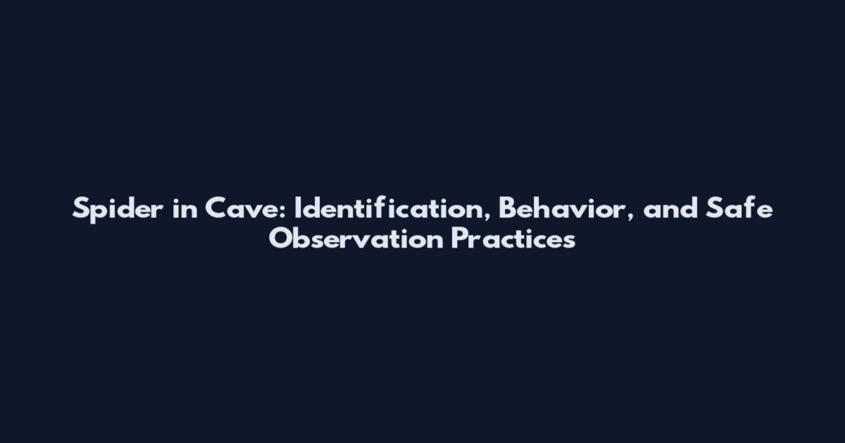 Spider in Cave: Identification, Behavior, and Safe Observation Practices