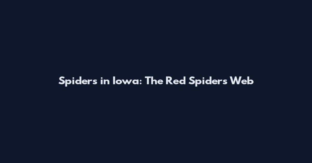Spiders in Iowa: The Red Spider's Web