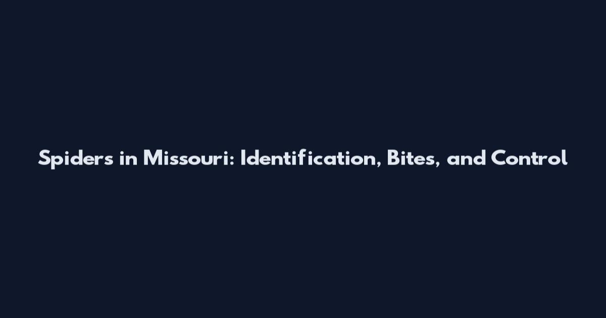 Spiders in Missouri: Identification, Bites, and Control
