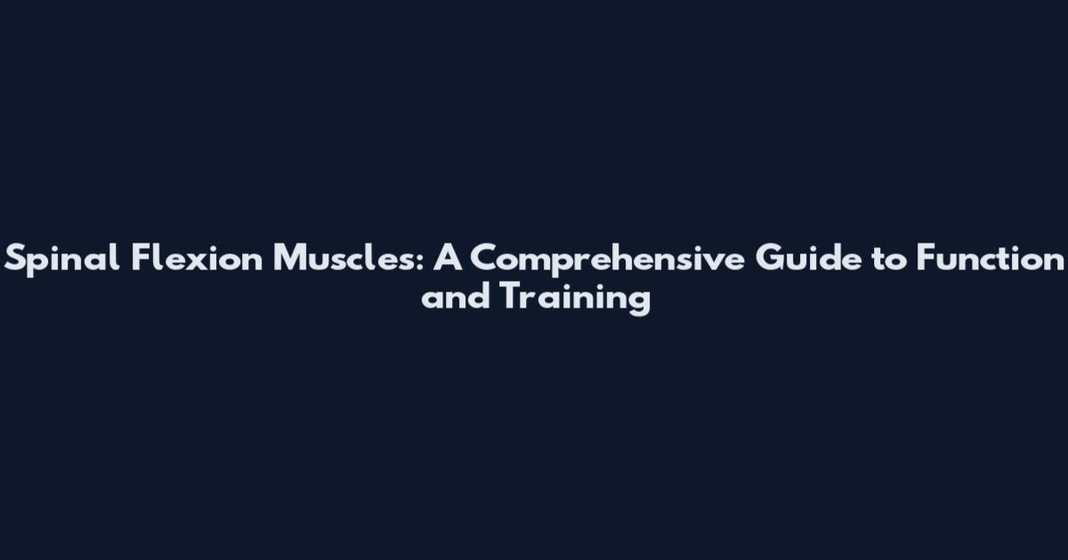 Spinal Flexion Muscles: A Comprehensive Guide to Function and Training