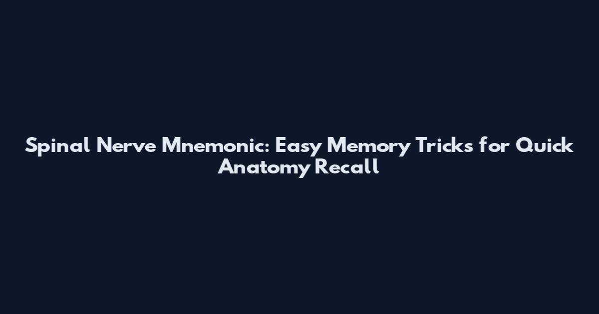 Spinal Nerve Mnemonic: Easy Memory Tricks for Quick Anatomy Recall