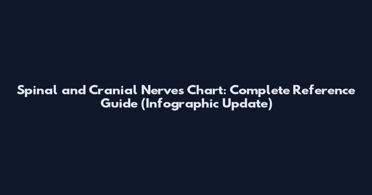 Spinal and Cranial Nerves Chart: Complete Reference Guide (Infographic Update)