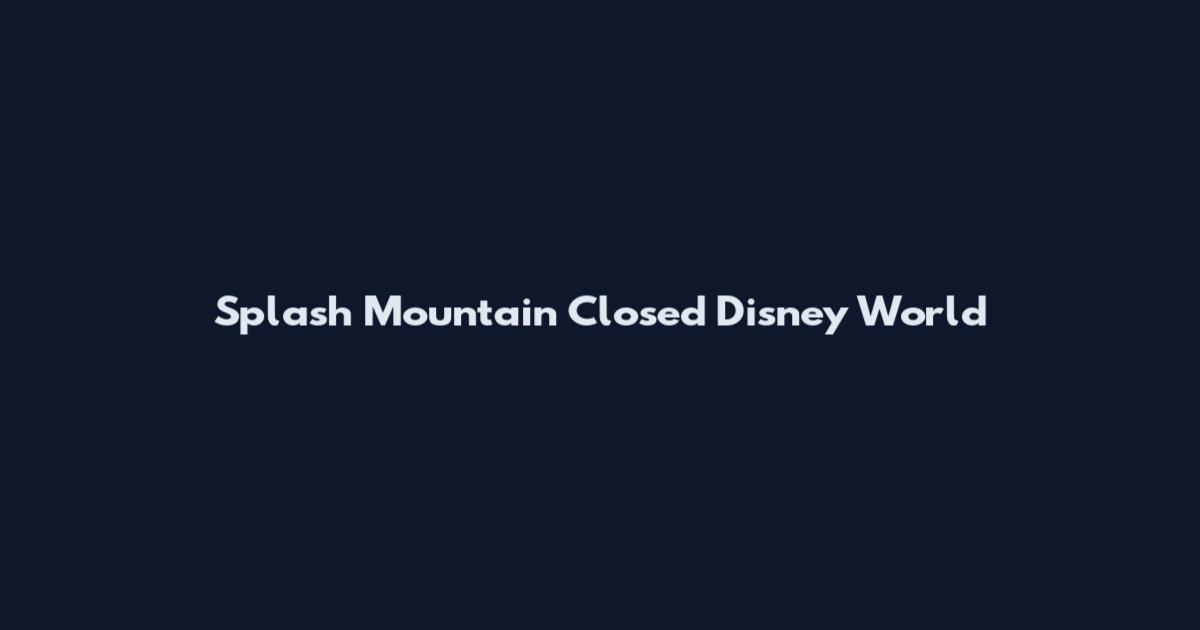 Splash Mountain Closed Disney World