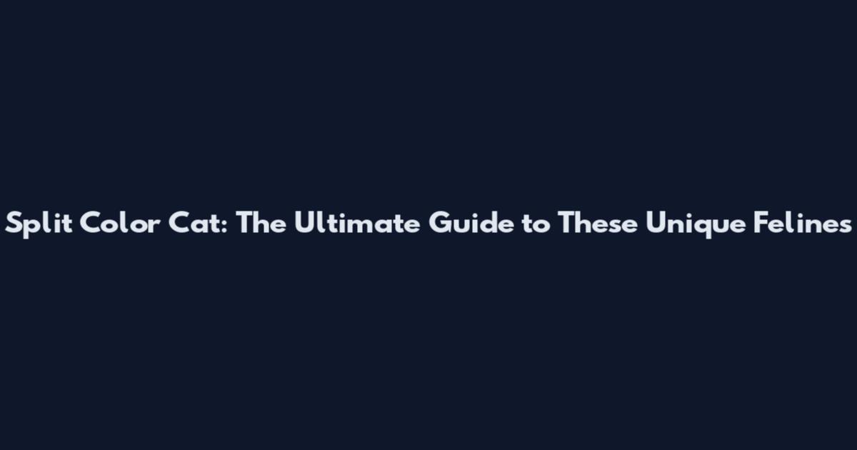 Split Color Cat: The Ultimate Guide to These Unique Felines