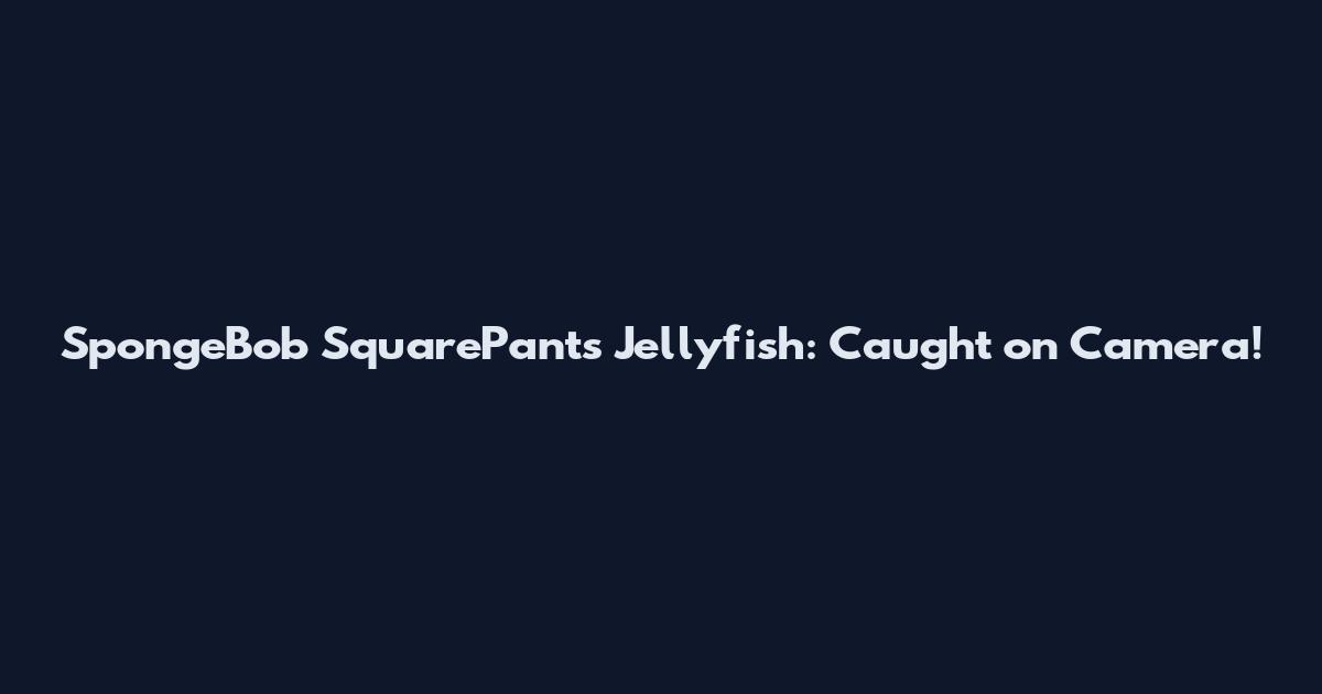 SpongeBob SquarePants Jellyfish: Caught on Camera!