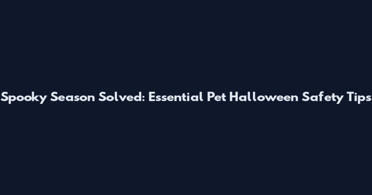Spooky Season Solved: Essential Pet Halloween Safety Tips