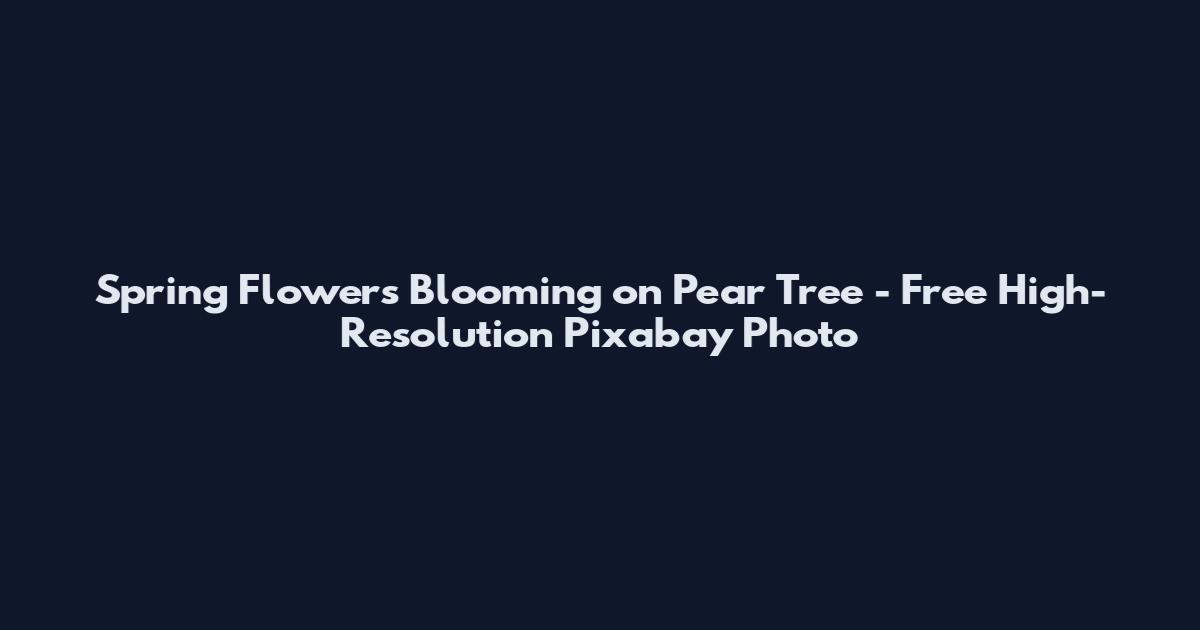 Spring Flowers Blooming on Pear Tree - Free High-Resolution Pixabay Photo
